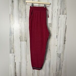 American Eagle Outfitters Kids Burgundy Joggers